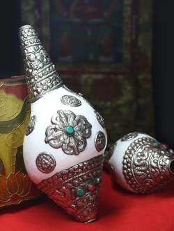 หอยสังข์อินเดียสีขาวแต่งเครื่องเงินทิเบต สำหรับใช้ในพิธีกรรมทางศาสนา ขนาดใหญ่ 27 cm.