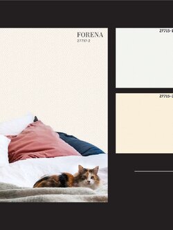 วอลล์เปเปอร์สไตล์โมเดิร์น,ร็อบ