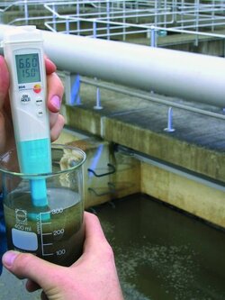 ปากกาวัดกรดด่าง 0-14pH ในอาหาร, TESTO