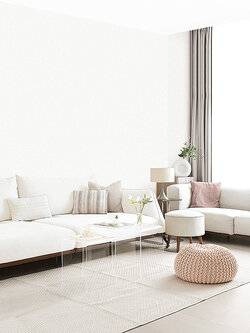 BASIC+ LIMITED Collection