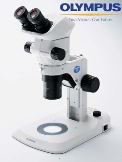 กล้องสเตอริโอ Stereomicroscope System SZ61