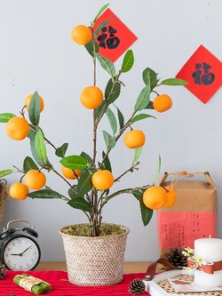 ต้นส้มมงคลพร้อมกระถาง เครื่องประดับปรับฮวงจุ้ย,ของแต่งบ้านมงคล สไตล์จีน