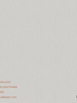 วอลล์เปเปอร์ติดผนังสไตล์โมเดิร์น