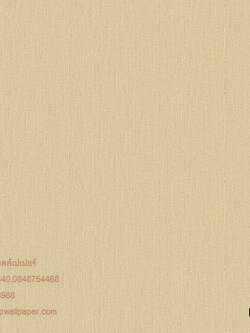 วอลล์เปเปอร์ติดผนังสไตล์โมเดิร์น