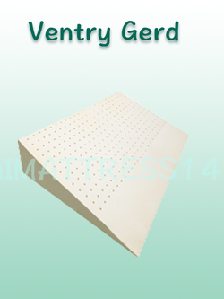 เบาะยางพารากันกรดไหลย้อน Ventry Gerd