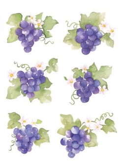 SD-04 Deco Sticker สติ๊กเกอร์ใส สำหรับตกแต่งแก้ว จาน ชาม กระเบื้อง แจกันฯลฯ ลาย องุ่น ขนาดแผ่น 17x23 cm