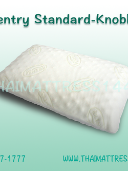 หมอนยางพารา Standard Knobby