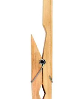 ที่หนีบหลอดทดลอง