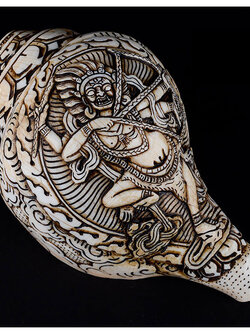 หอยสังข์อินเดียสีขาวแกะลายโดยช่างฝีมือเนปาล สำหรับใช้เป่าในพิธีกรรมทางศาสนา ขนาด 19 cm.