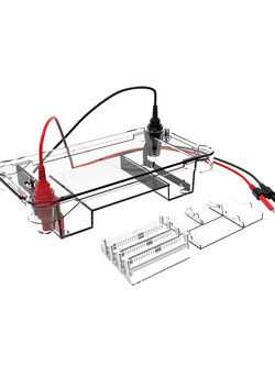 Horizontal Gel Electrophoresis-Biobase เครื่องเจลอิเลคโตรโฟรีซีส (Gel electrophoresis of protein)