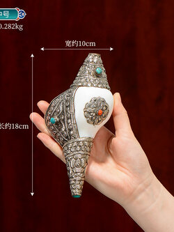 หอยสังข์อินเดียสีขาวแต่งเครื่องเงินทิเบต สำหรับใช้ในพิธีกรรมทางศาสนา ขนาด 18 cm.