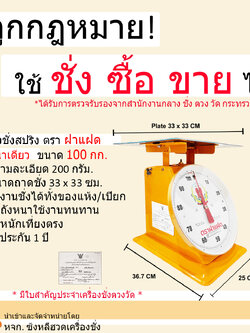 เครื่องชั่งสปริง ตราฝาแฝด ตัวถังเหล็ก พิกัด 100 กก. จานแบน