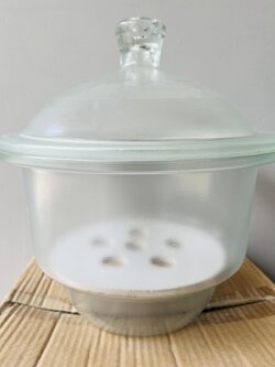 โถดูดความชื้นพร้อมเพลทเซรามิก: Dessicator, Plain w/Lid, Porcelain