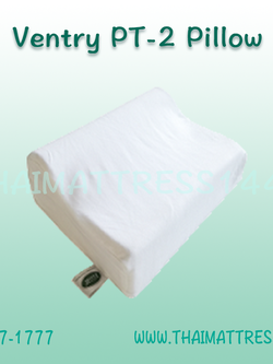 หมอนยางพารา Ventry PT2
