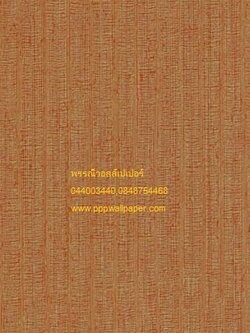 วอลล์เปเปอร์ติดผนังสไตล์โมเดิร์น