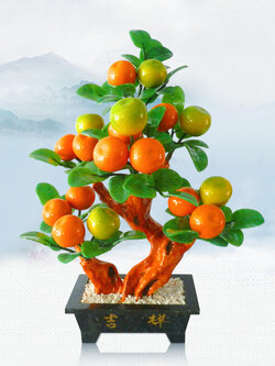 ต้นส้มหยกมงคล เครื่องประดับปรับฮวงจุ้ย ค้าขายดีมีกำไร เสริมความมั่งคั่งร่ำรวย