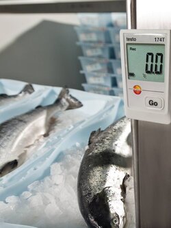 เครื่องวัดและบันทึกอุณหภูมิ mini Temp data logger -30 to +70 °C