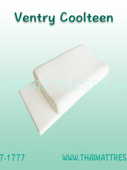 หมอนหนุนยางพารา 2 ชั้น Ventry Coolteen