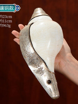 หอยสังข์อินเดียสีขาวแต่งเครื่องเงินทิเบต สำหรับใช้ในพิธีกรรมทางศาสนา ขนาด 23 cm.