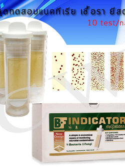 ชุดทดสอบเชื้อแบคทีเรีย เชื้อรา(10ชุด/กล่อง) Bacteria and Fungi Test kit-B-F INDICATOR