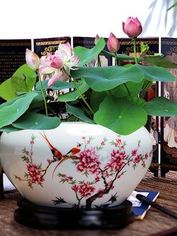 อ่างบัวเซรามิกเขียนลายจีนโบราณ ปรับฮวงจุ้ยบ้าน โต๊ะทำงาน