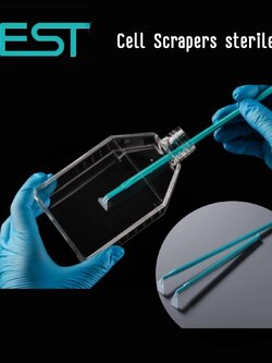 NEST® Cell Scraper, handle 280 mm, Blade 20 mm, Sterile (100ชิ้น/cs)