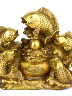 ปลาเศรษฐี,ปลาคราฟเฝ้าเงินเฝ้าทอง มั่งมีศรีสุข เสริมอำนาจวาสนา