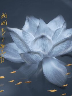 ดอกบัว ภาพพิมพ์ดอกบัว ภาพสั่งทำลายดอกบัว