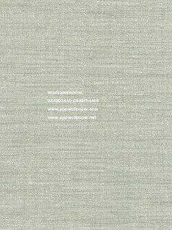 วอลล์เปเปอร์ติดผนังสไตล์โมเดิร์น