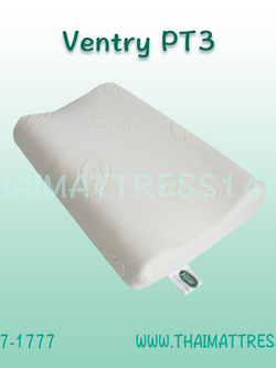 หมอนยางพารา Ventry PT3