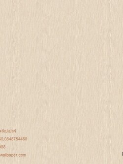 วอลล์เปเปอร์ติดผนังสไตล์โมเดิร์น