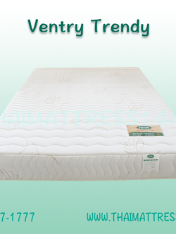 Ventry รุ่น Trendy หนา 8 นิ้ว