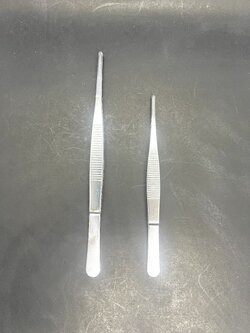 Forcep คีมคีบสแตนเลส ปลายทู่