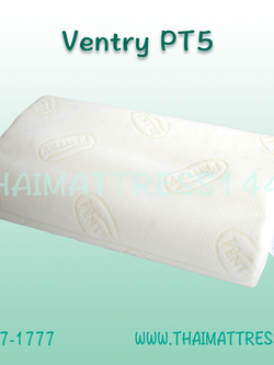 หมอนยางพารา Ventry PT5