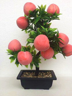 ต้นไม้มงคล เครื่องประดับปรับฮวงจุ้ย,ของแต่งบ้านมงคล สไตล์จีน