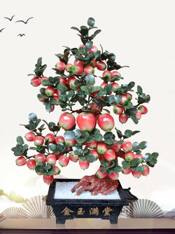ต้นแอปเปิ้ลหยกมงคล เครื่องประดับปรับฮวงจุ้ย ค้าขายดีมีกำไร เสริมความมั่งคั่งร่ำรวย