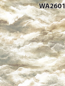 ลายก้อนเมฆ 2601-3