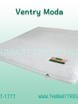 Ventry รุ่น Moda หนา 8 นิ้ว