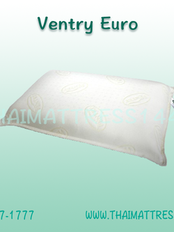 หมอนยางพารา Ventry Euro ขนาดใหญ่พิเศษ