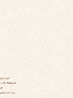 วอลล์เปเปอร์ติดผนังสไตล์โมเดิร์น