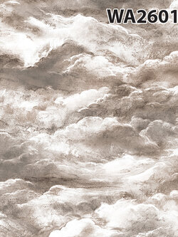 ลายก้อนเมฆ 2601-4