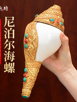 หอยสังข์อินเดียสีขาวแต่งเครื่องเงินทิเบตเคลือบทองคำแท้ สำหรับใช้ในพิธีกรรมทางศาสนา ขนาด 29 cm.