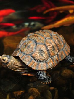 #เต่าสัตว์มงคลเสริมดวง,แก้ฮวงจุ้ย,ป้องกันภัย