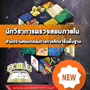 แนวข้อสอบนักวิชาการตรวจสอบภายใน สำนักงานคณะกรรมการการศึกษาขั้นพื้นฐาน (สพฐ)