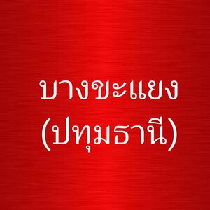 ร้านแบตบางขะแยง