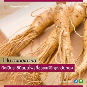 ทำไมราชินีสมุนไพร ตังกุยเกาหลี ถึงช่วยลดปัญหาวัยทองได้