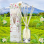 WHITE TEA ชาขาว