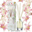 WHITE FLOWERS ดอกโมกสีขาว