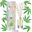 ฟุ้งสบายไม้หอม 40 ml กลิ่น CANNABIZ สมุนไพรกัญช์