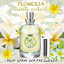 Spray Air Freshener 120ml กลิ่น PLUMERIA ลีลาวดี